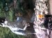 zoo 09 2013 (2)