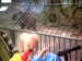 zoo 09 2013 (12)